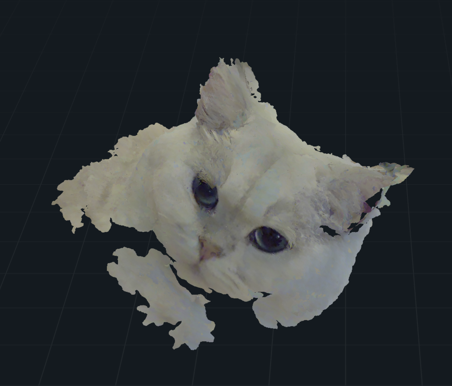 3D cat scan preview